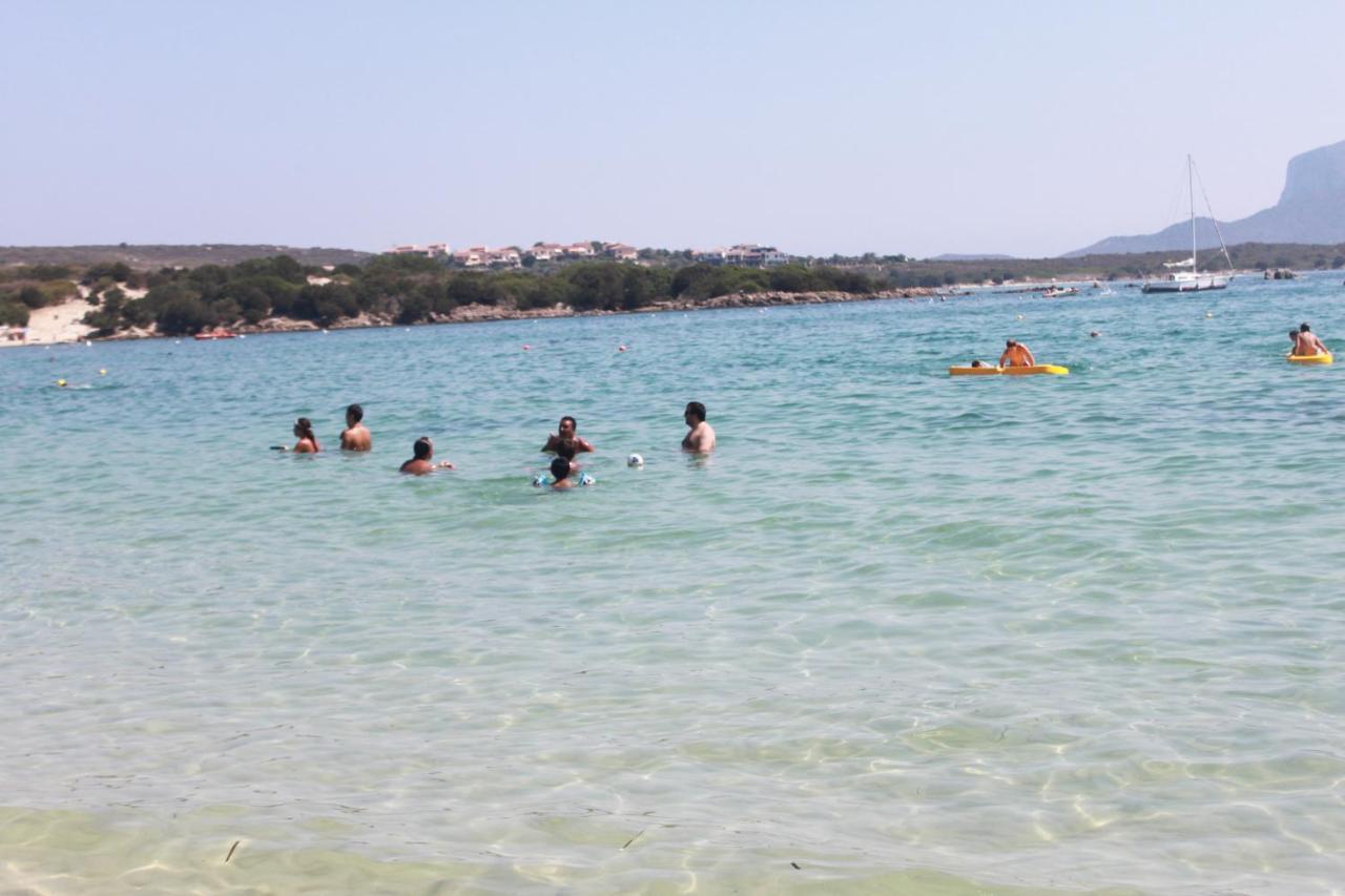 Olbia Tempio Διαμέρισμα Εξωτερικό φωτογραφία